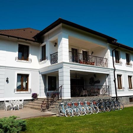 Hôtel Conacul Dante à Pianu de Jos Extérieur photo