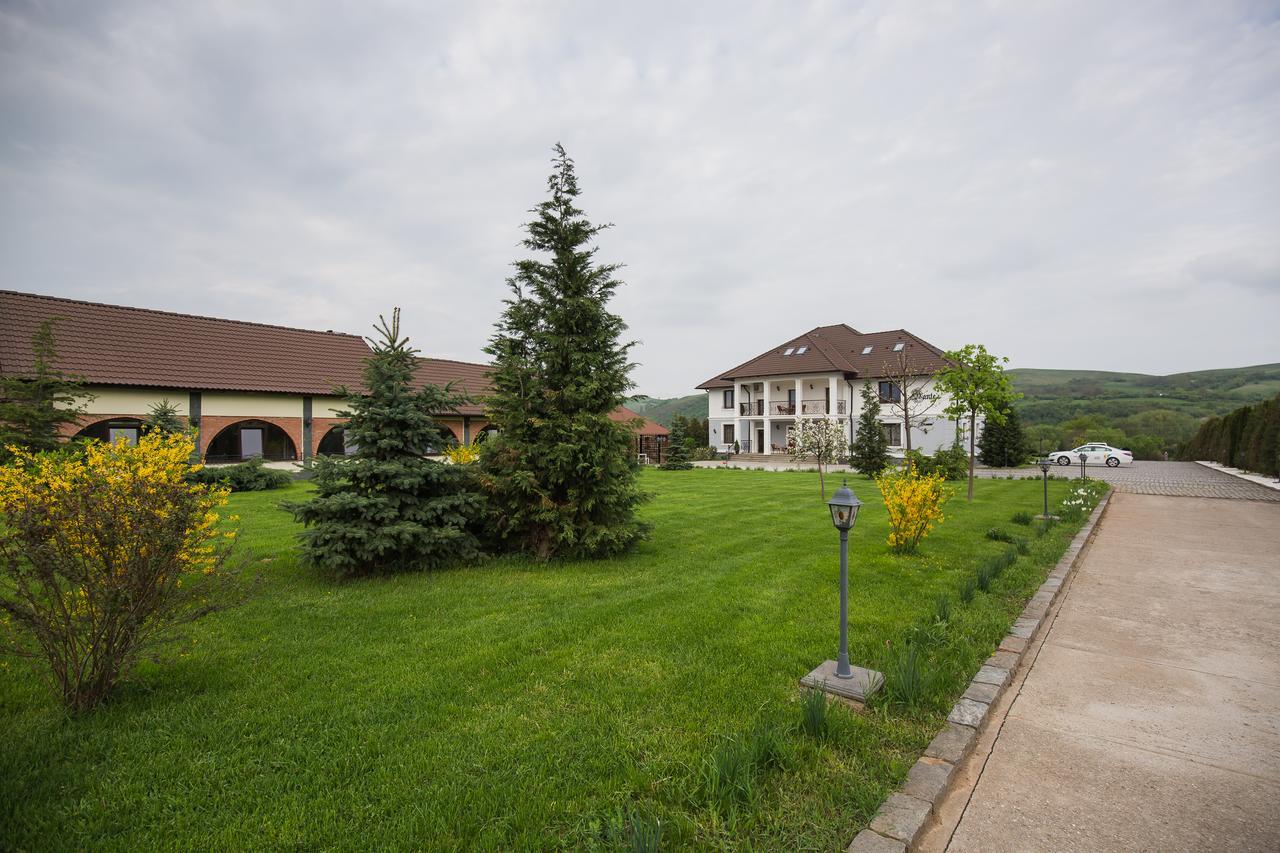 Hôtel Conacul Dante à Pianu de Jos Extérieur photo