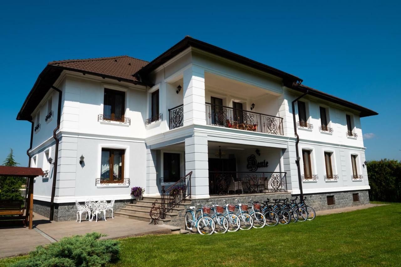Hôtel Conacul Dante à Pianu de Jos Extérieur photo